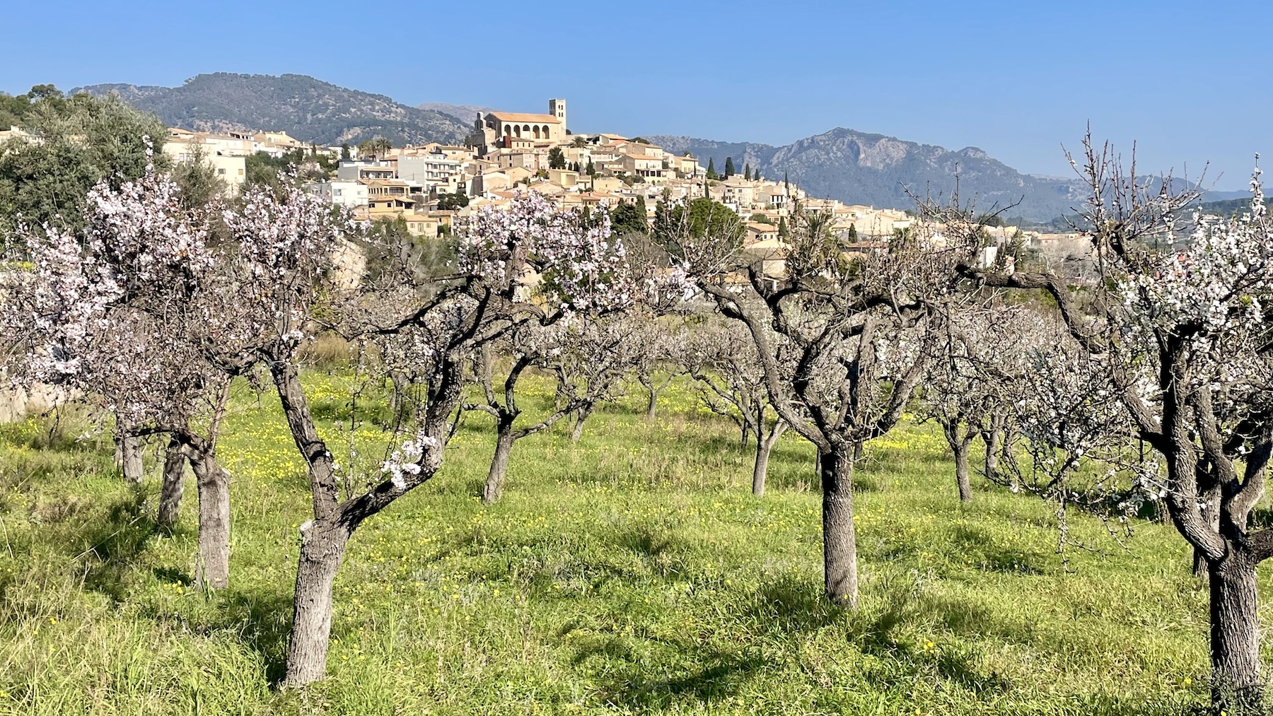 mallorca yoga hiking