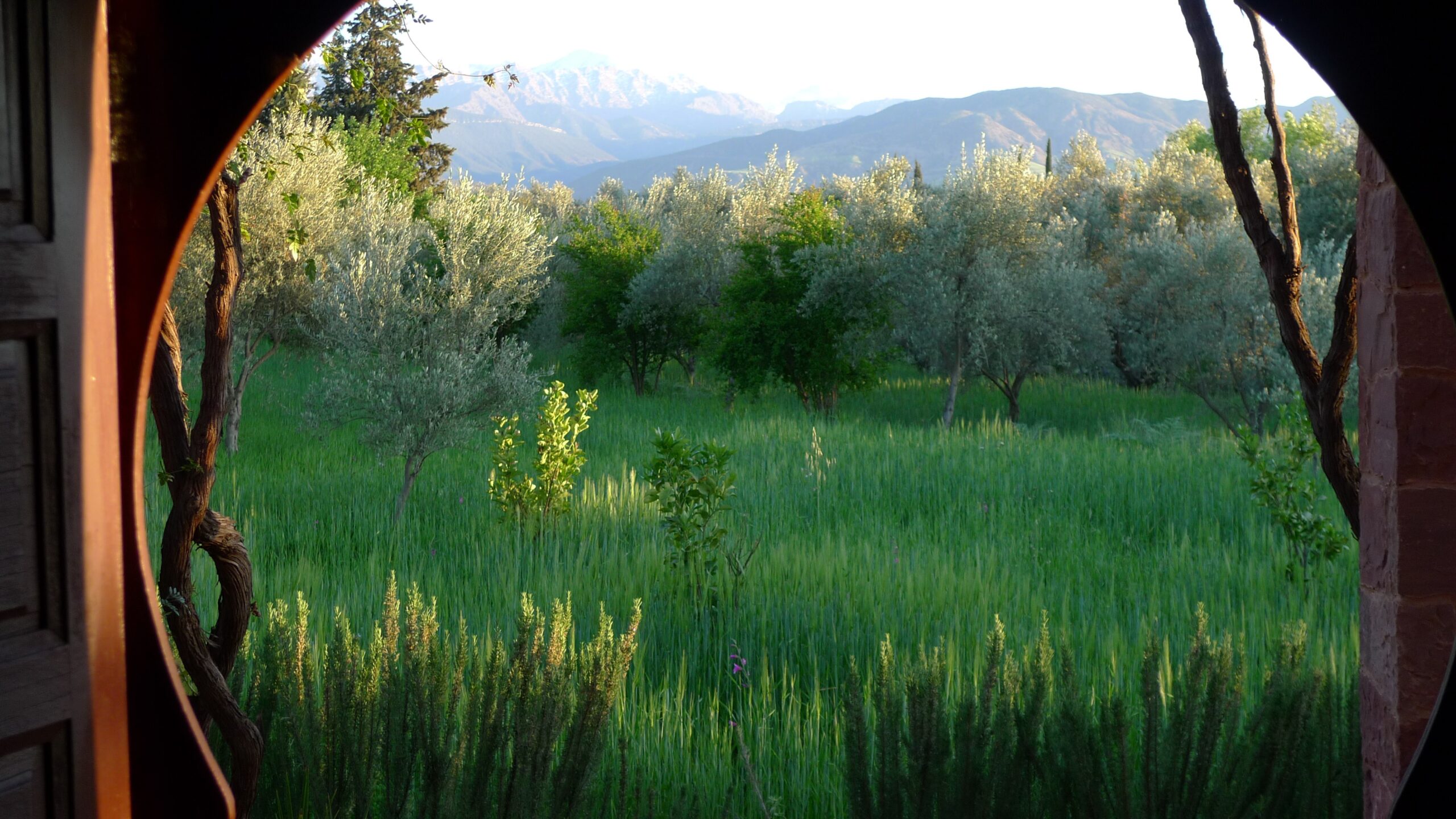 Ashtanga Yoga Retreat Morocco