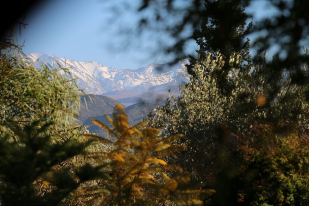 Ashtanga Yoga Retreat Morocco