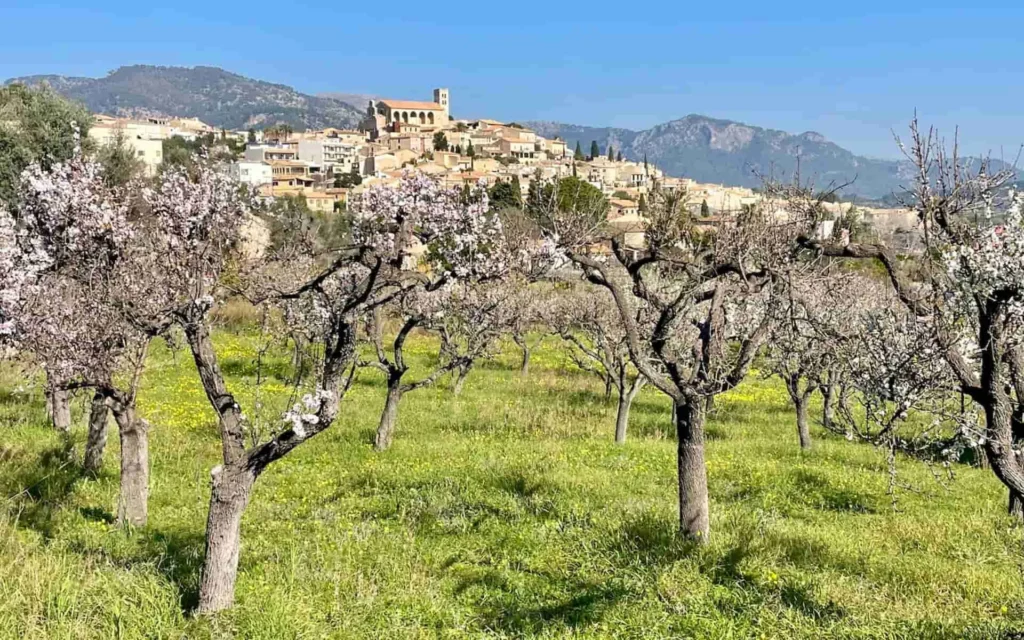 hiking mallorca retreat