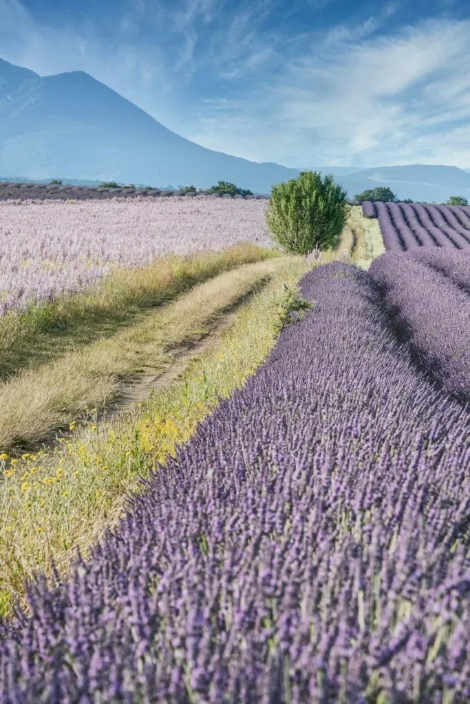 France yoga retreat