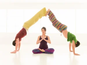 hatha vs vinyasa